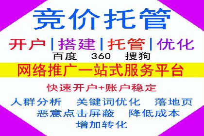 深入解析sem代运营推广公司的成功策略及效果